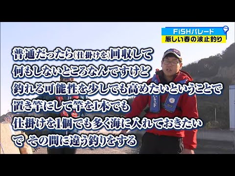 「釣れればなんでもいい？」厳しい春の波止釣りに挑戦！予想通り”しわい”回に...、生き物は釣れました（汗）【次回に続く】｜FISHパレード（2024年3月29日放送）