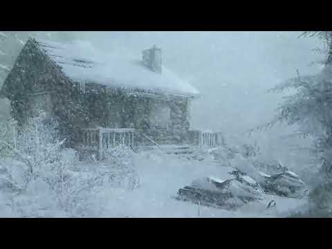 Loud Snowstorm Roars & Whistling Snow Gusts |Ferocious Winter Gale Sounds & Gusty Arctic Wind Blasts