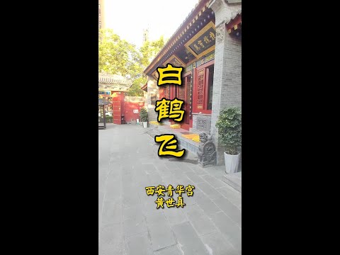 《白鹤飞》西安青华宫黄世真