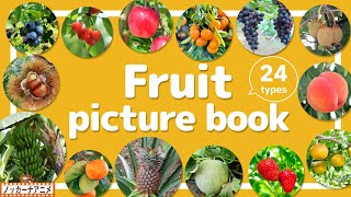 Fruit Picture Book | Video for Kids 【くだもの図鑑】24種類のいろんな果物をみてみよう！英語知育アニメ