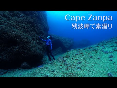 Snorkeling at Dive Site Cape Zanpa | Okinawa Freediving | シュノーケリング＠沖縄本島