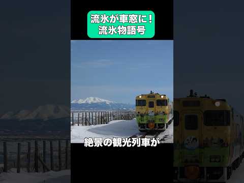 流氷が見える北海道の観光列車 #流氷物語号 #shorts