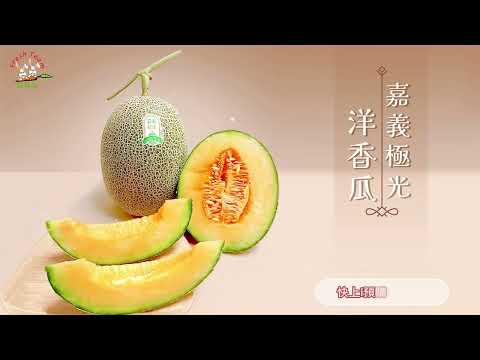 新鮮族 嘉義極光洋香瓜