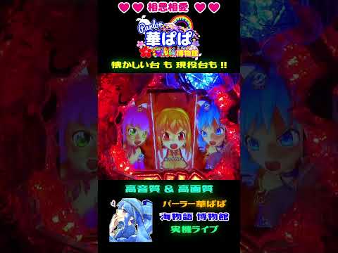 🐍魔法少女共闘 vs リヴァイアサン🐍🪄魔法少女GO！GO！マリン🪄⌛3分ショート動画⌛【 パーラー華ぱぱ・海物語 博物館 】#shorts