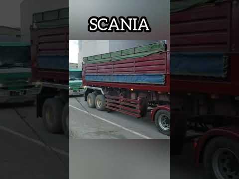 ダンプトレーラー(SCANIA)ビート運搬in2023