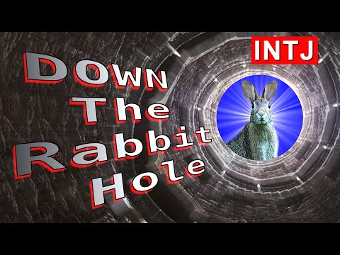 An INTJ Down the Rabbit Hole