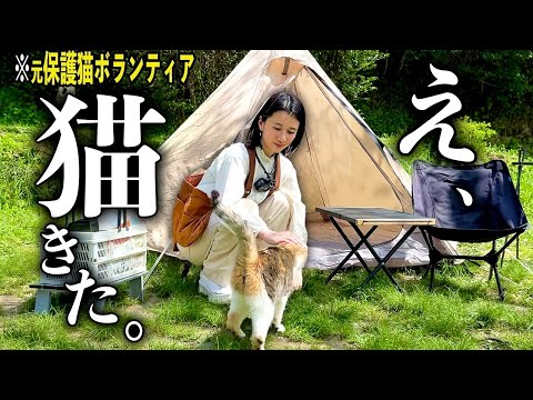 【女子キャンプ】１年ぶりにソロキャン行ったら、置き去りにされた猫と出会いました。