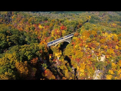 【宮城県観光映像】紅葉の鳴子峡