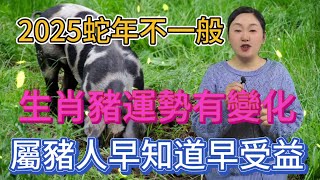 2025年蛇年很特殊！生肖豬運勢有變化！家裡有屬豬的要注意！早知道早收益！#風水 #分享 #生肖 #運勢 #佛教 #2025