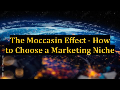 The Moccasin Effect - How to Choose a Marketing Niche