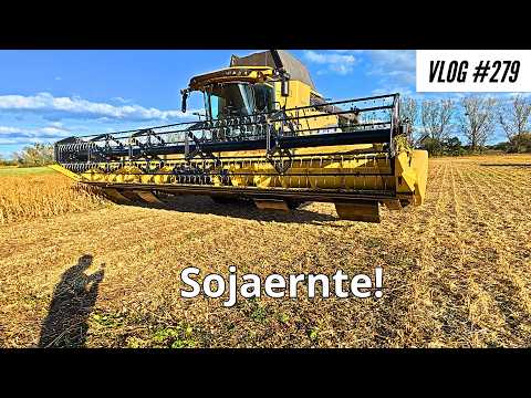 Vlog #278 Problems with sowing and we thresh soy