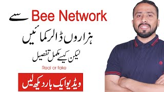 What is Bee Network || Bee Network kya hai || Pi Network vs Bee network