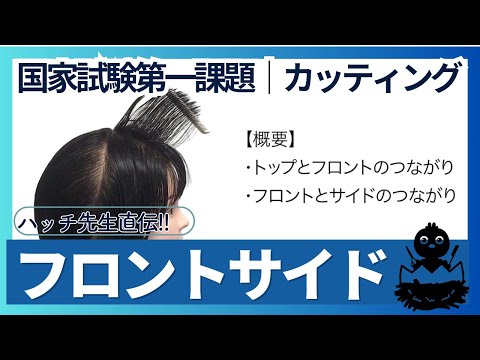 カット⑦フロントサイドとのつながり｜美容師国家試験カット手順とカットのコツ