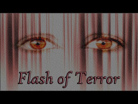 STORYTIME - by TKING N MINISTRIES - Flash of Terror - (TKING)