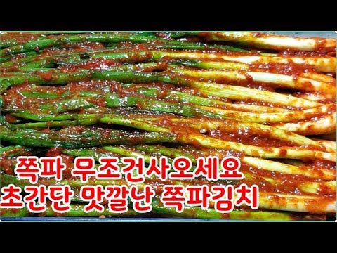 쪽파 무조건 사오세요~쪽파김치 초간단으로 맛깔나게 만들기 누구나 손쉽게 10분 완성~국민 최애 알싸한 쪽파김치 맛나게만드는법~비타민A,C 알리신풍부로 면역력, 살균,항균,성인병예방