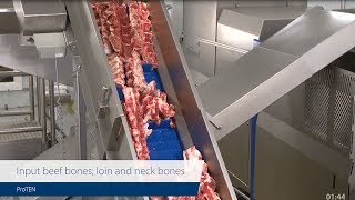 ProTEN beef bones – High capacity meat harvesting