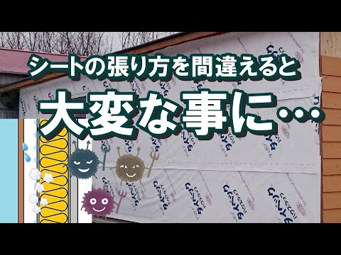 このシートの性能は？タイベックは透湿防水シートです。