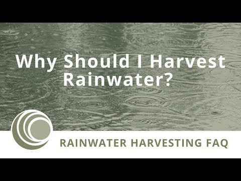 Why Rainwater Harvesting Saves Money, Your Health, and the Environment