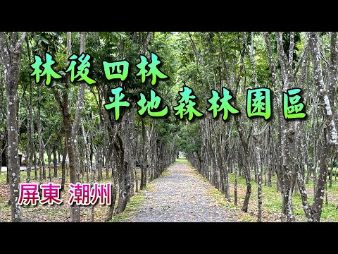 林後四林平地森林園區-帶孫子來走走(玩水水)