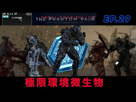 MGSV 極限環境微生物　非殺傷2