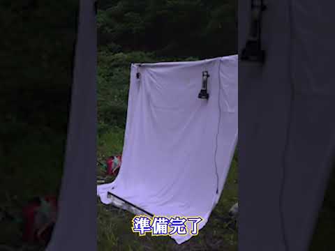 大人の昆虫採集！南砺市の標高1400ｍの山中でライトトラップを設置した結果 #Shorts