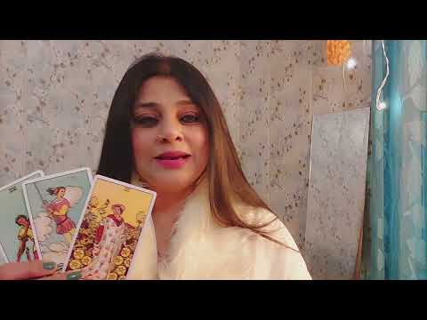 Feb 2024 Tarot cards Predictions ||Aries to Pisces||Hindi#loveandlight #tarot wattsapp 9818130040