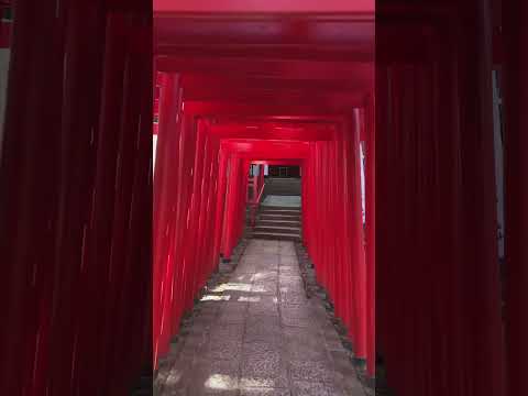 【そうだ 彩の国、行こう。】大宮氷川神社 埼玉県民の初詣 #埼玉県 #翔んで埼玉 #初詣 #故郷 #散歩 #氷川神社 #大宮 #観光 #shorts