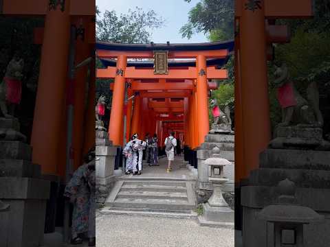 超美️ ✨「伏見稻荷大社」千本鳥居⛩一路延伸至山頂，連好萊塢電影《藝伎回憶錄》都在這裡拍攝過～#伏見稲荷 #稻荷神社 #鳥居 #大阪 #關西 #京都 #日本 #travel