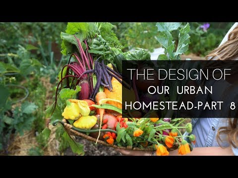 Growing Organic Food on Our Urban Homestead, Part 8