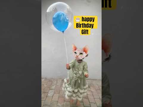 Led Bubble balloon happy birthday gift for cat kitten baby