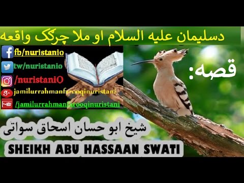 mula chargak hudhud:  Sheikh abu hassaan swati..د ملاچرګک قیصه..شیخ ابو حسان اسحاق پشتو بیان