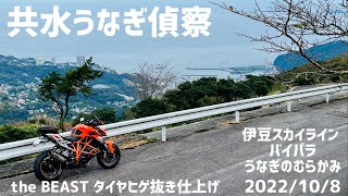 共水うなぎ偵察 タイヤヒゲ抜き仕上げ 伊豆スカイライン バイパラ うなぎのむらかみ 2022/10/8