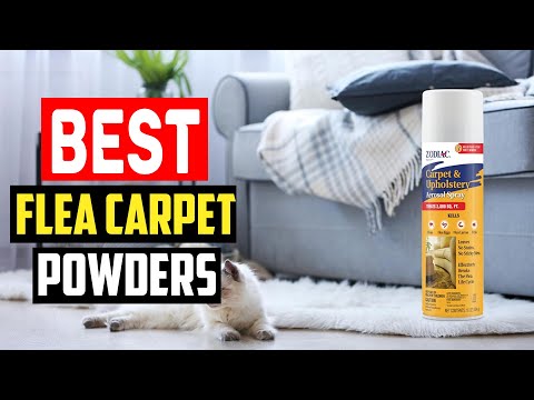 ✅Top 5 Best Flea Carpet Powders  Sprays in 2024