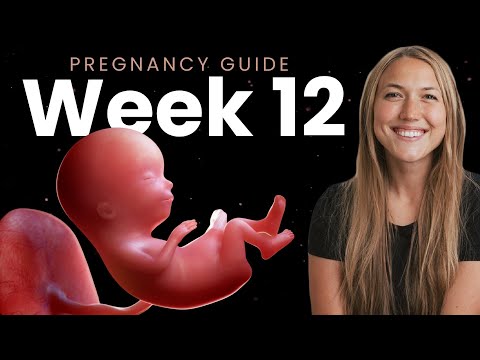 12 Weeks Pregnant | Week By Week Pregnancy