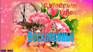 Воскресенье День Веселья ! Красивая Песня Пожелание С Добрым Утром !Открытка Хорошего Воскресенья