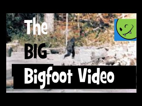 The Big Bigfoot Video - Patterson / Gimlin Film Sasquatch Hoax