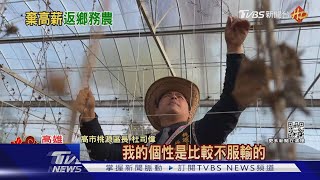 放棄矽谷高薪工作! 年輕「型農」返鄉桃源當區長｜TVBS新聞  @TVBSNEWS01