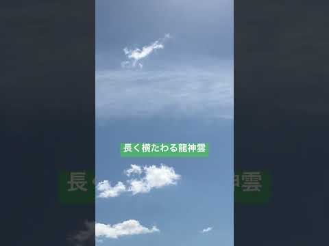 見上げた先には・・・🙄#short #shorts #空と雲 #龍神雲