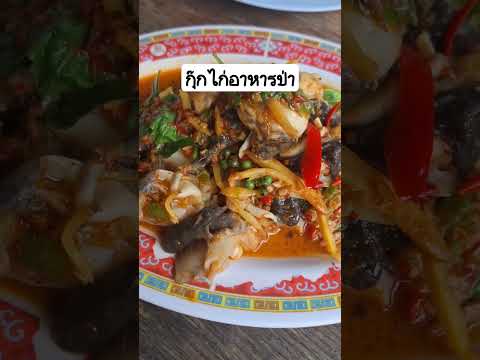 กุ๊กไก่อาหารป่าบงกช10 เลียบคลองสอง #กดติดตาม #อาหาร #streetfood #อร่อย  #thaifood #อาหารป่า #shorts