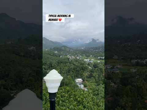 Beautiful view from a resort in Munnar, Kerala. #munnar #travel #trending #scenery #tree #forest