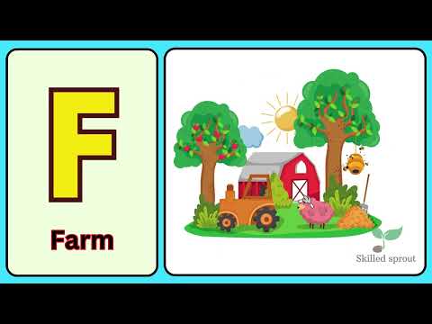 Learn The Letter F | Let's Learn About The Alphabet | Phonics Song for Kids