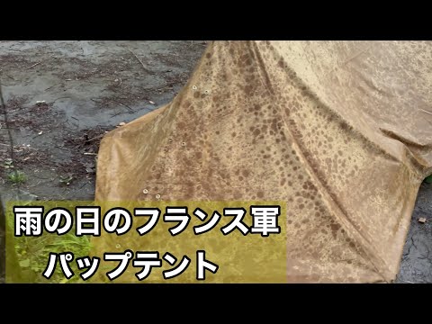 雨に濡れると浮き上がる模様がカッコいい!