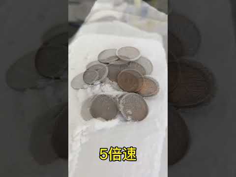 北極の10円玉