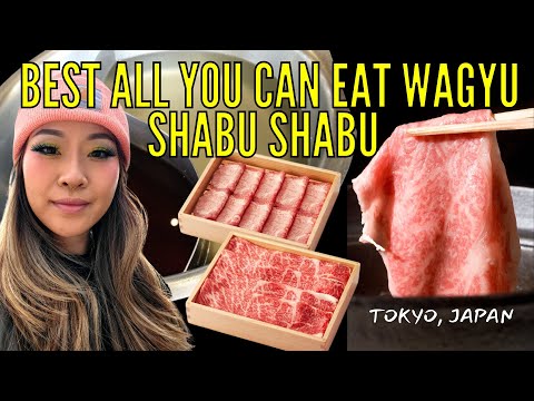 $25 ALL YOU CAN EAT Shabu Shabu and Sukiyaki in Shinjuku Tokyo Japan