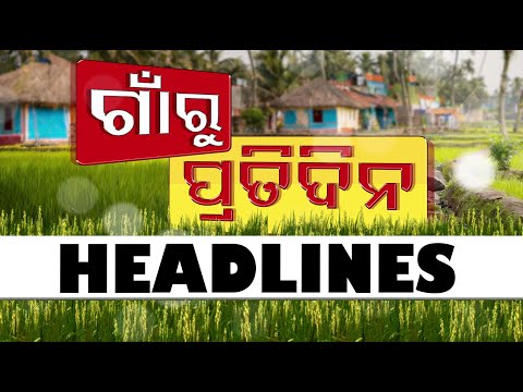 7:30 PM Headlines | 25th December 2024 | Odisha TV | OTV