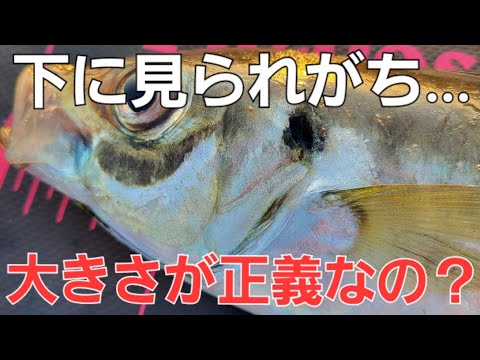 大きな魚こそ凄いと楽しんでいる釣りを否定してくる方に困惑。アジング中にこう答えてみました