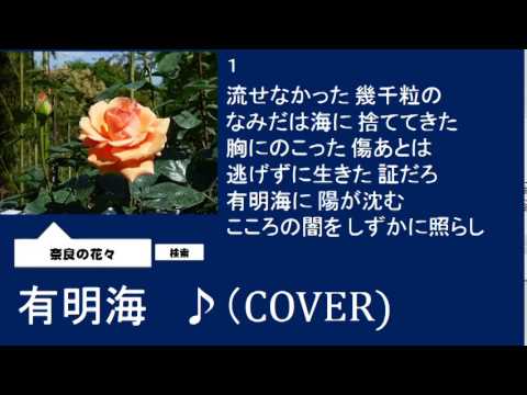 有明海　　北山たけし　♪（COVER）