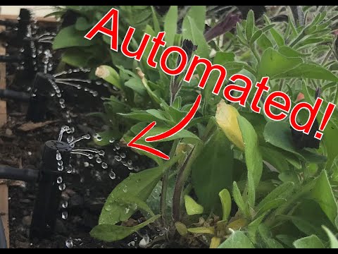 Automated Drip Irrigation How To