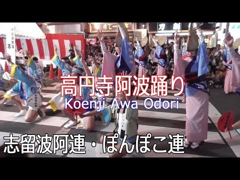 東京高円寺阿波おどり2019 #16「志留波阿連・ぽんぽこ連」Koenji Awa Odori