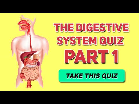 Digestive System Quiz- Part 1- ( Functions & Organs ) - Human Anatomy